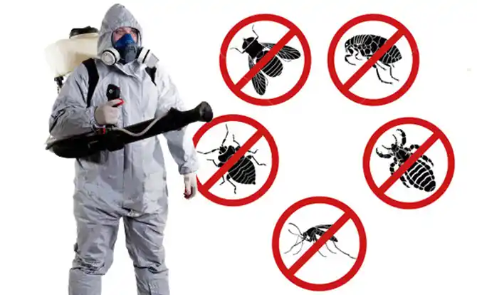 pest control Hooks